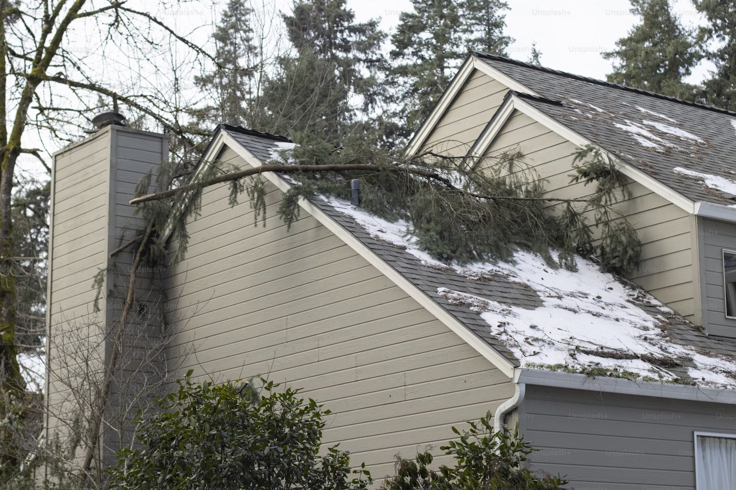 Fallen tree branches covered with snow resting on the roof of a residential building