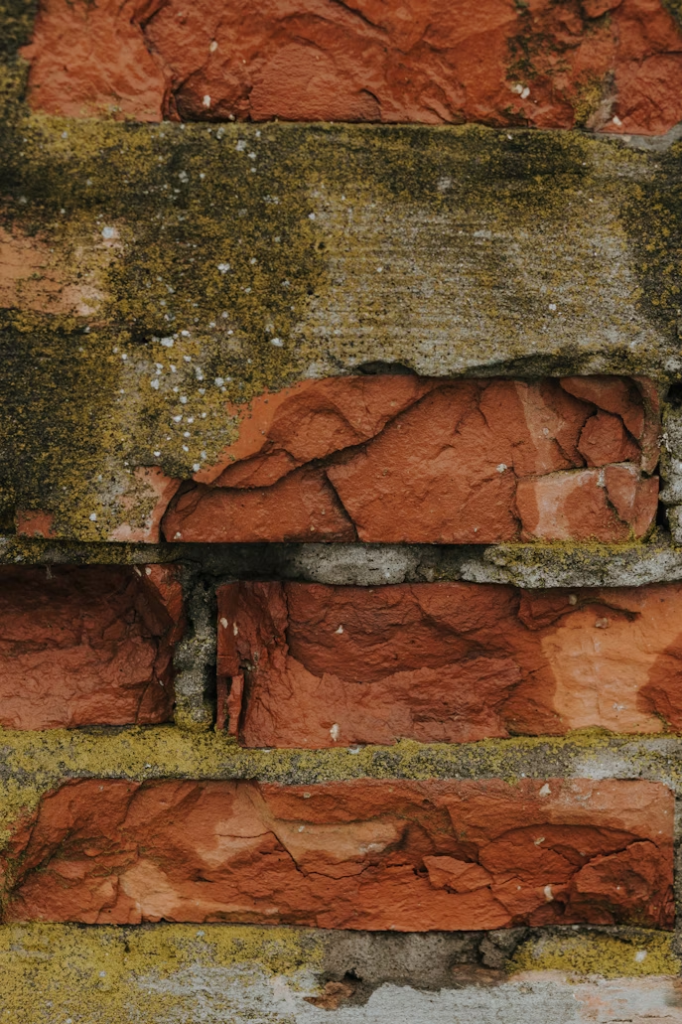 A photo of worn-down bricks with moss on them.