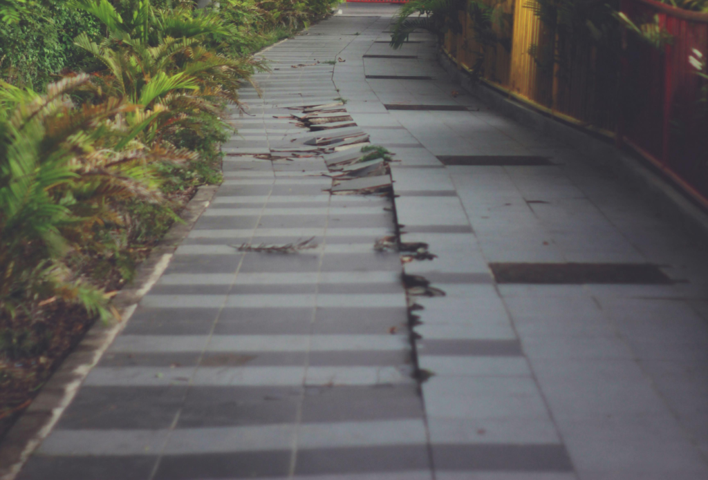 A damaged sidewalk in a green, tree-lined area with tiles lifted and broken along the path.