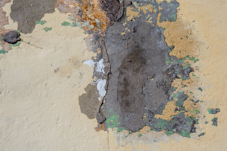 The image shows a close-up view of a wall with peeling and cracked paint, revealing layers of different colors and textures.