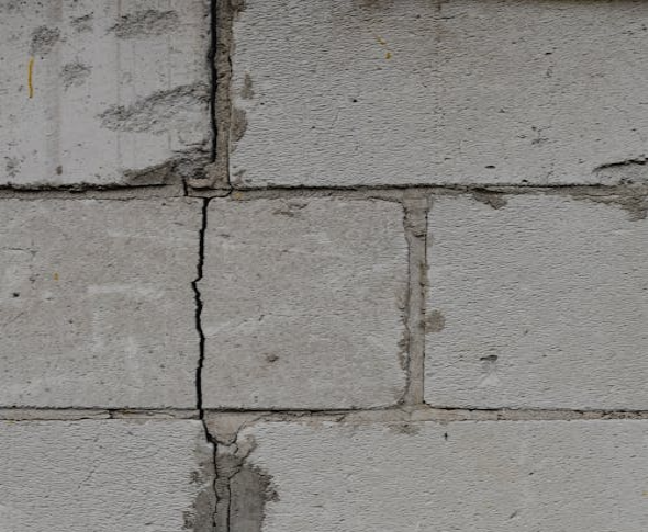 The image shows a close-up of a gray concrete wall with visible cracks between the blocks. 
