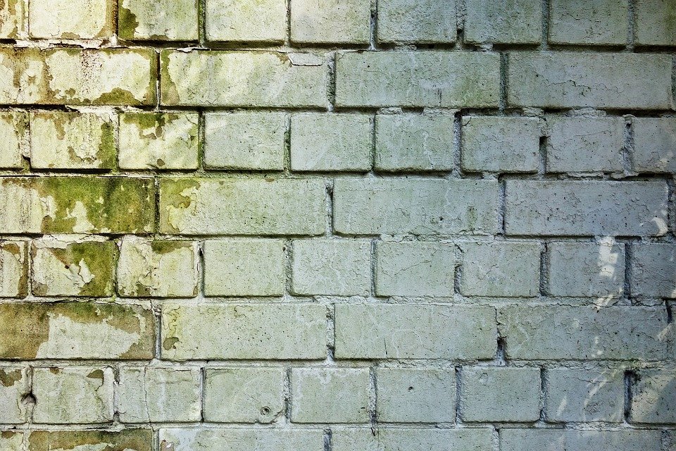 Masonry wall showing signs of moisture staining, water infiltration, and surface deterioration.