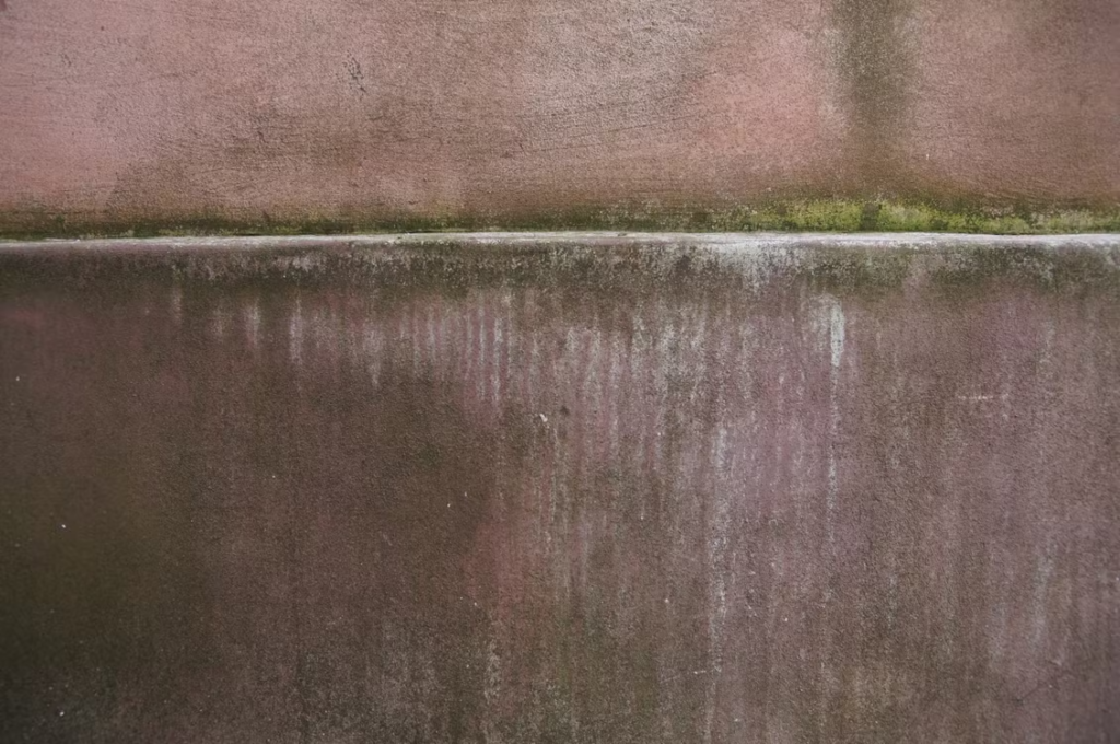 moisture on a wall
