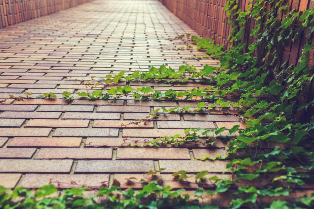 a brick walkway