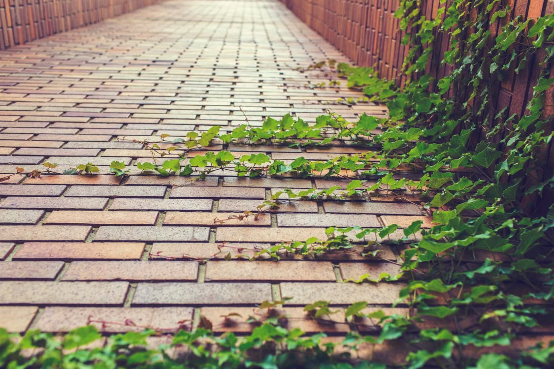 a brick walkway